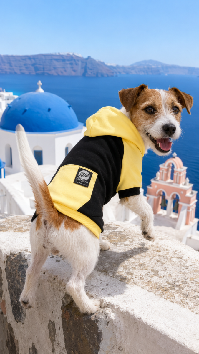 DOGWEAR HOODIE 2 Black/Yellow Shhh - bluza z kapturem dla Psa
