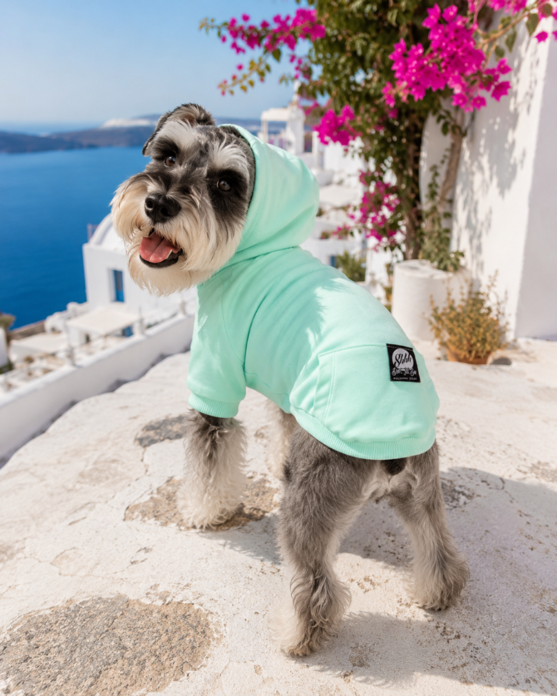 DOGWEAR HOODIE 2 Pistachio Shhh - bluza z kapturem dla Psa