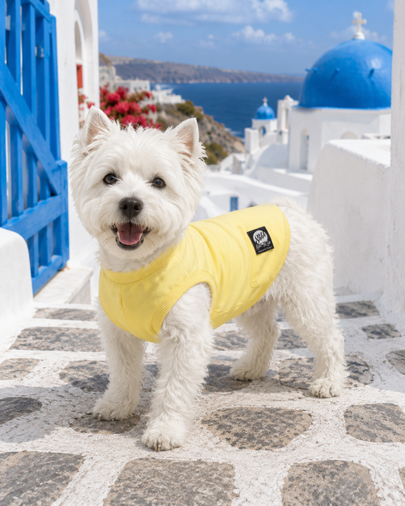 DOGWEAR 1 Yellow Shhh - dres dla Psa