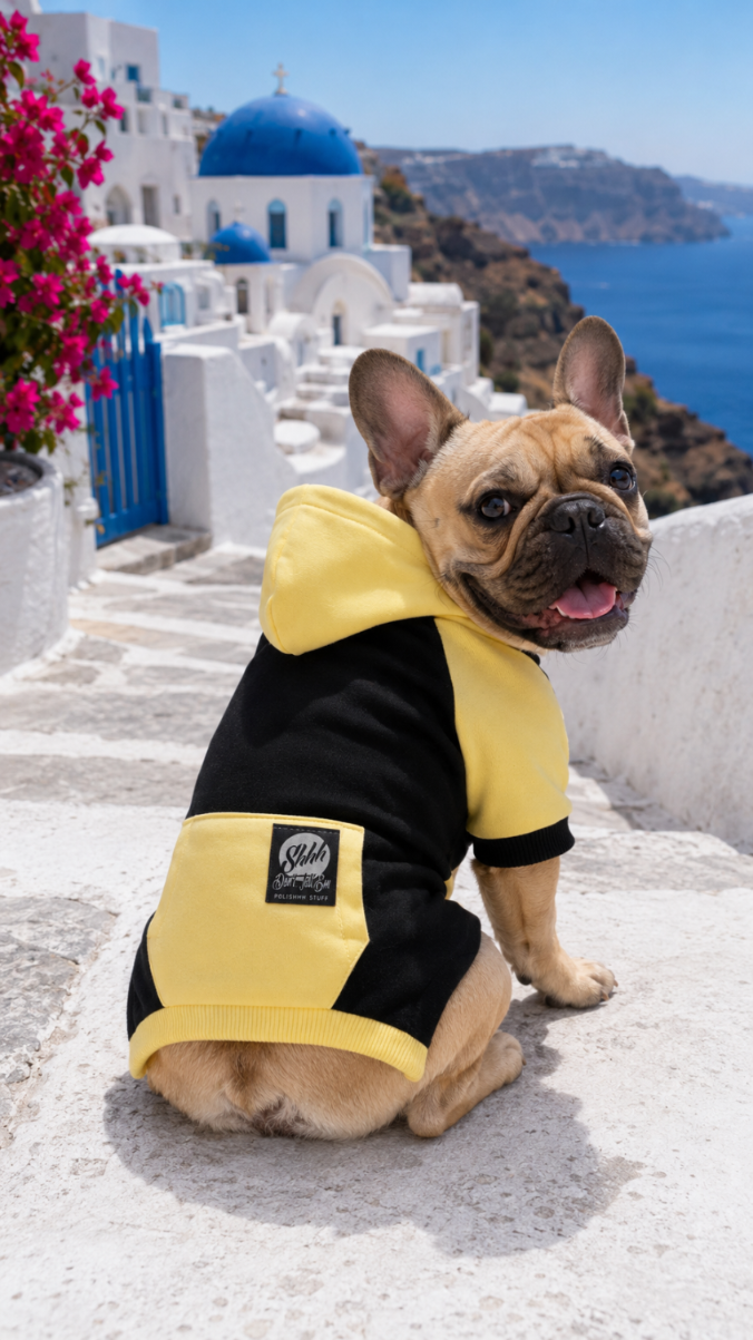 DOGWEAR HOODIE 2 Black/Yellow Shhh - bluza z kapturem dla Psa