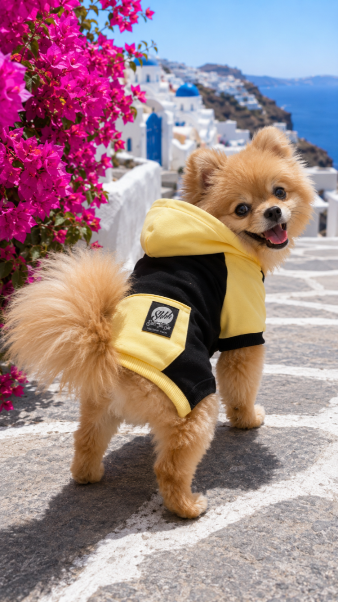 DOGWEAR HOODIE 2 Black/Yellow Shhh - bluza z kapturem dla Psa