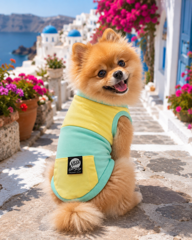 DOGWEAR 1 Yellow/Pistachio Shhh - dres dla Psa