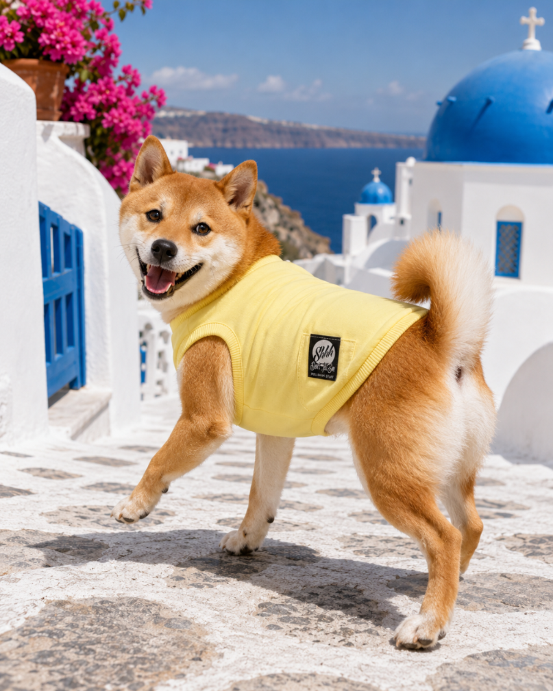 DOGWEAR 1 Yellow Shhh - dres dla Psa