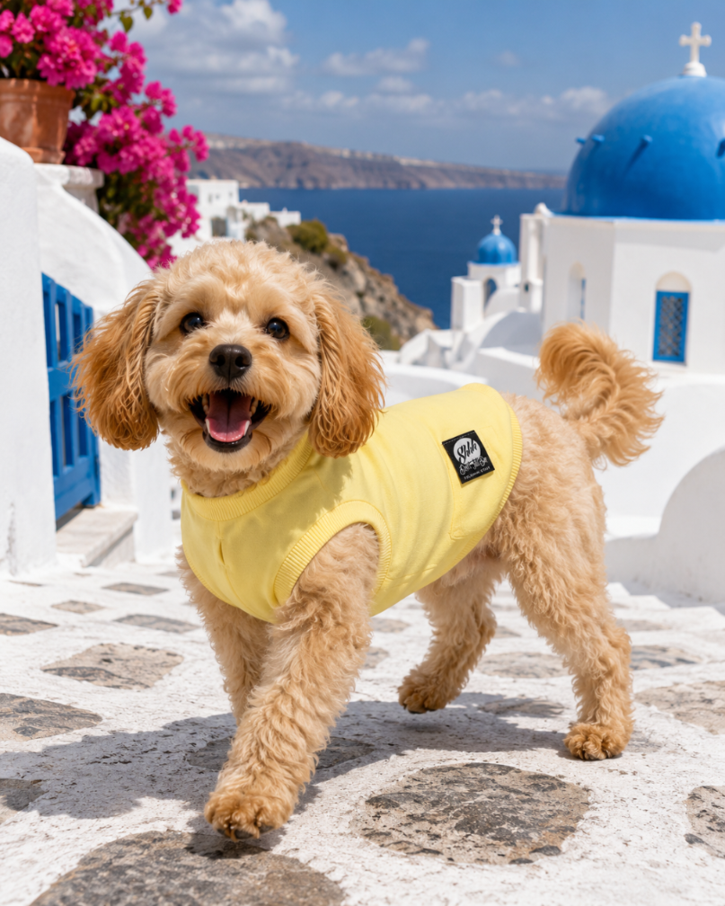 DOGWEAR 1 Yellow Shhh - dres dla Psa