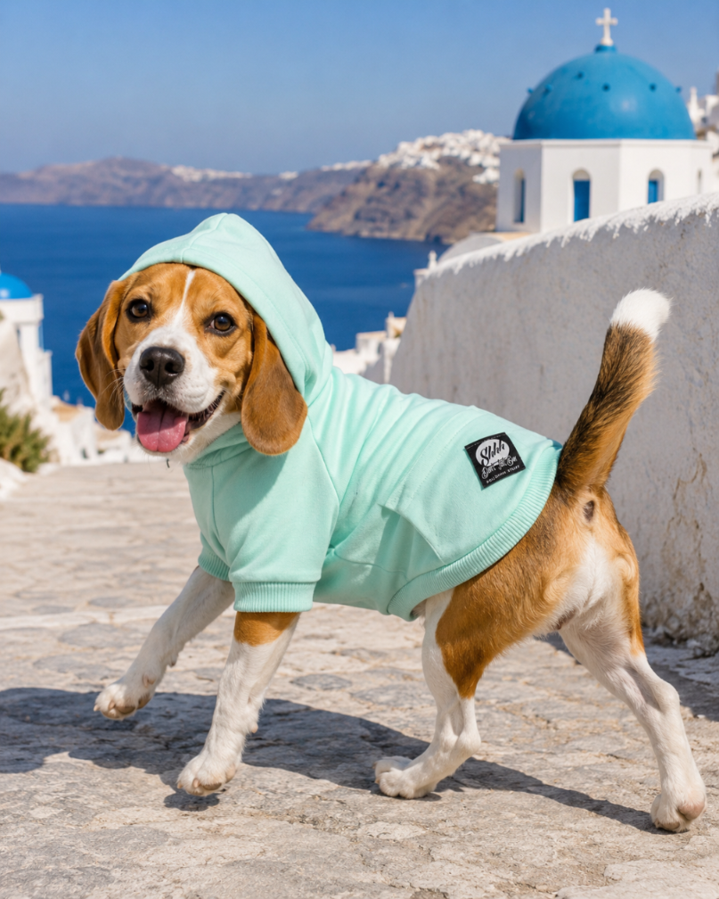 DOGWEAR HOODIE 2 Pistachio Shhh - bluza z kapturem dla Psa