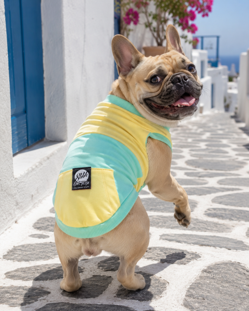 DOGWEAR 1 Yellow/Pistachio Shhh - dres dla Psa