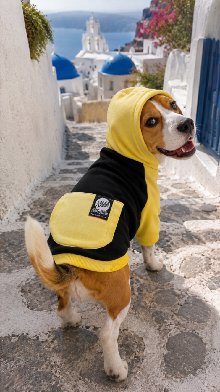 DOGWEAR HOODIE 2 Black/Yellow Shhh - bluza z kapturem dla Psa