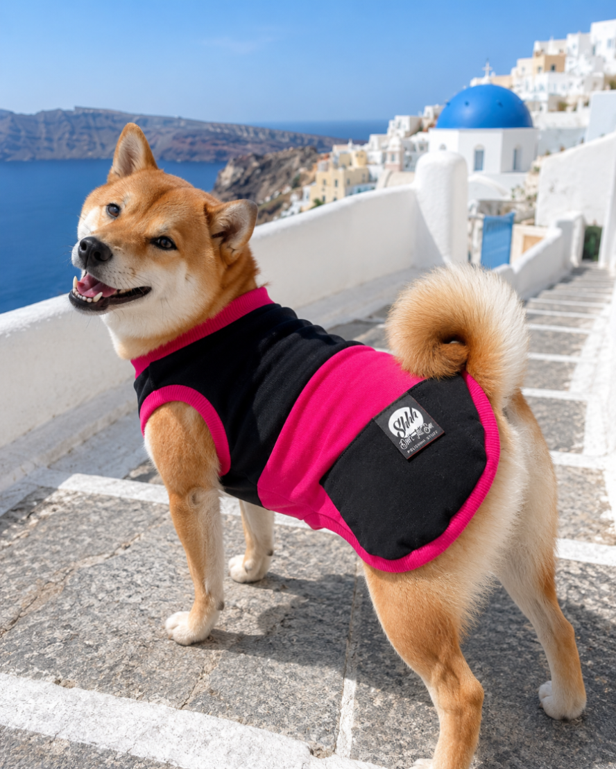 DOGWEAR 1 Black/Fuchsia - Shhh - dres dla Psa