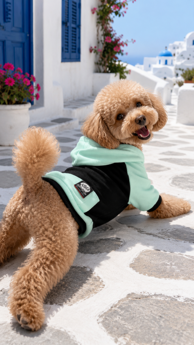DOGWEAR 2 Black/Pistachio Shhh - bluza z kapturem dla Psa