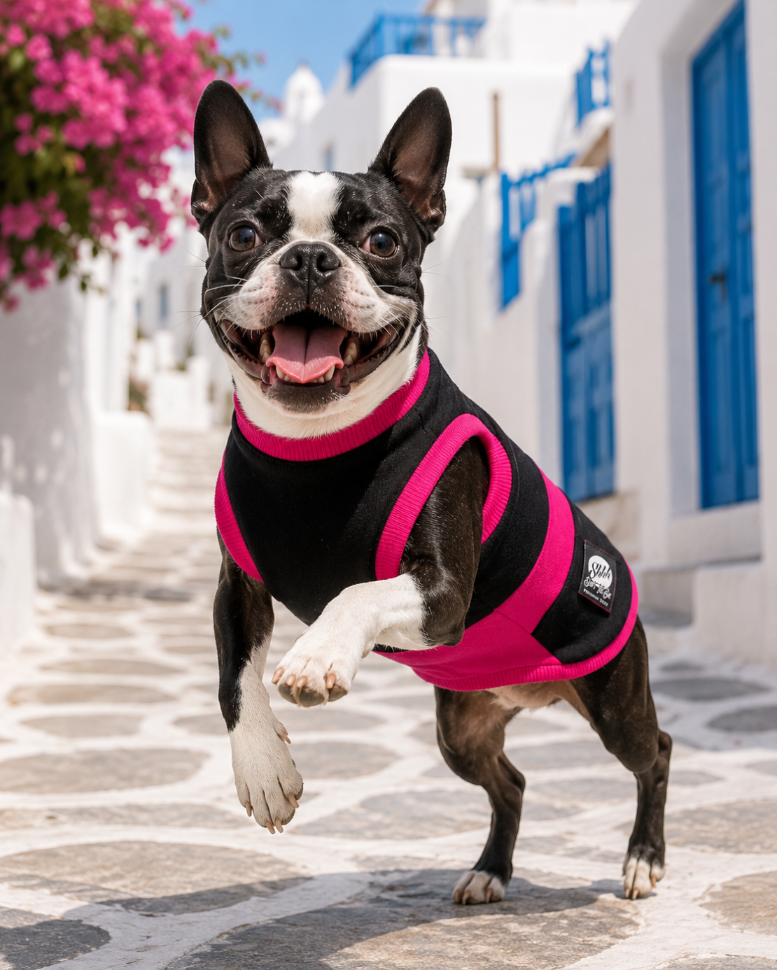 DOGWEAR 1 Black/Fuchsia - Shhh - dres dla Psa
