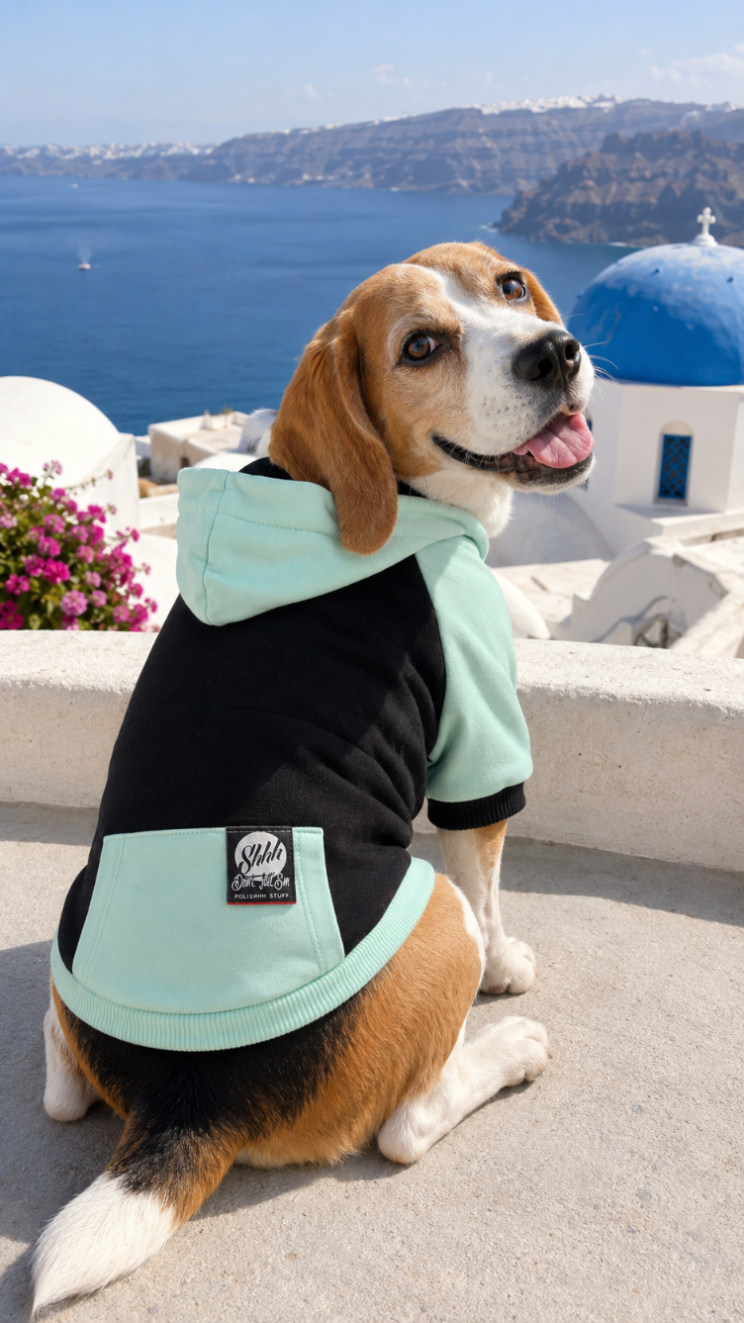 DOGWEAR 2 Black/Pistachio Shhh - bluza z kapturem dla Psa