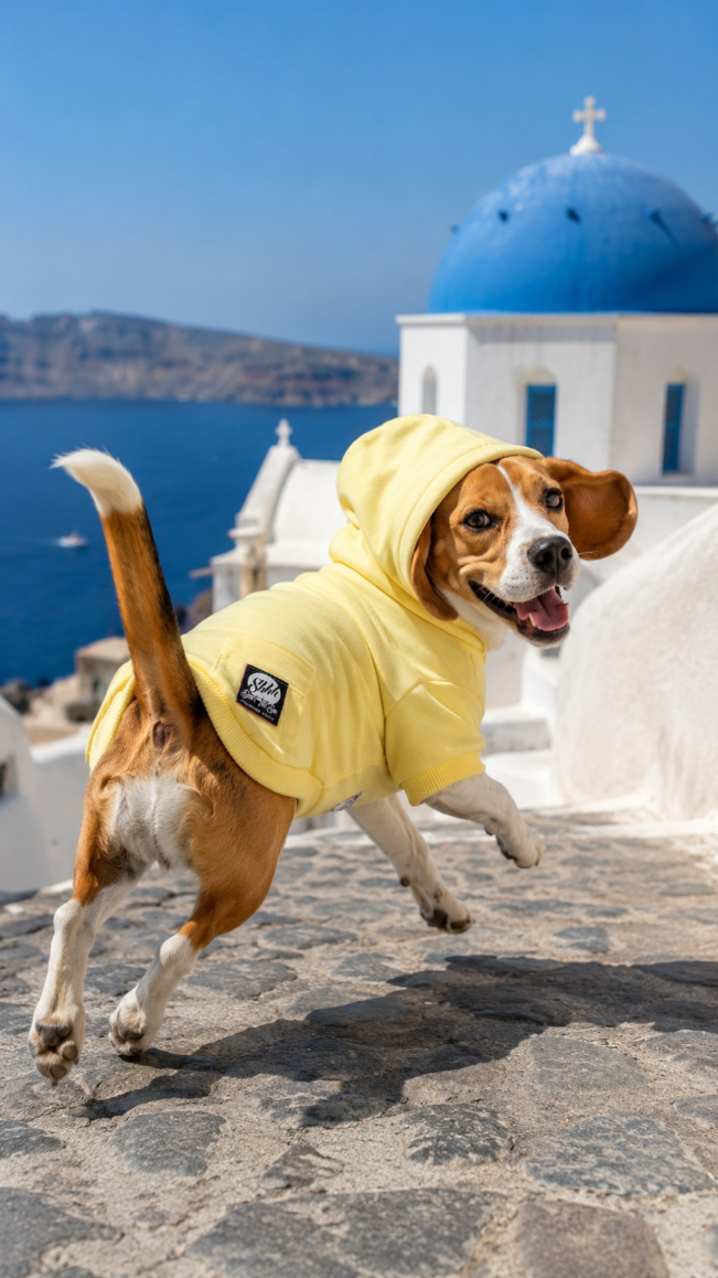 DOGWEAR HOODIE 2 Yellow - bluza z kapturem dla Psa