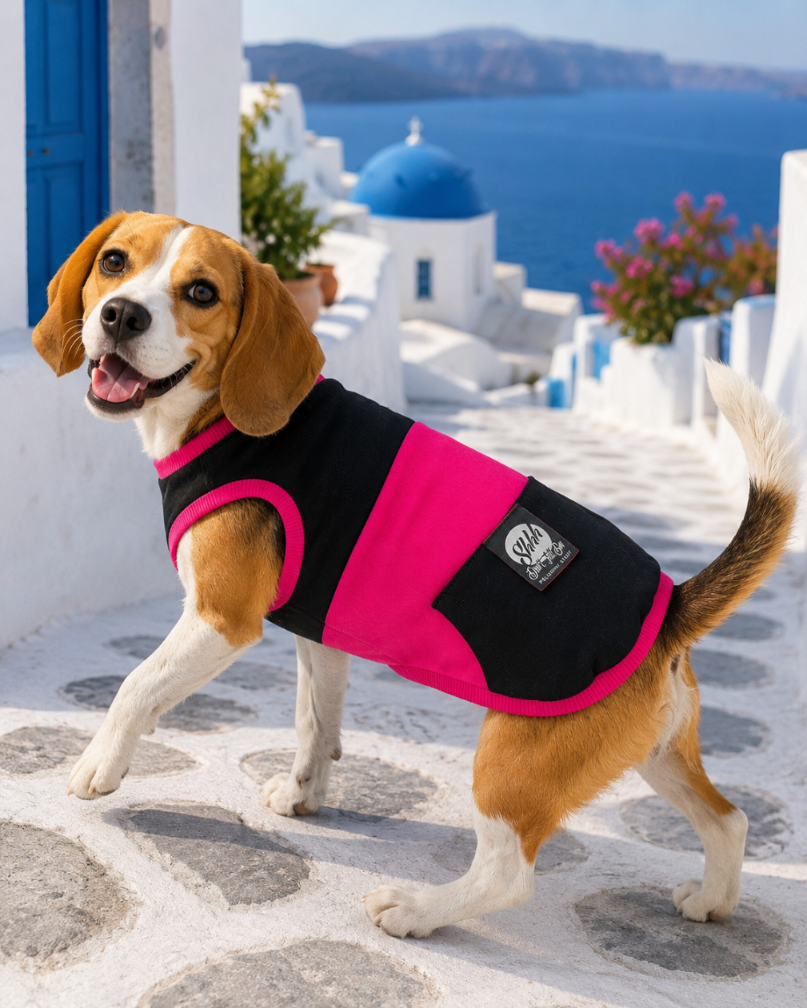 DOGWEAR 1 Black/Fuchsia - Shhh - dres dla Psa