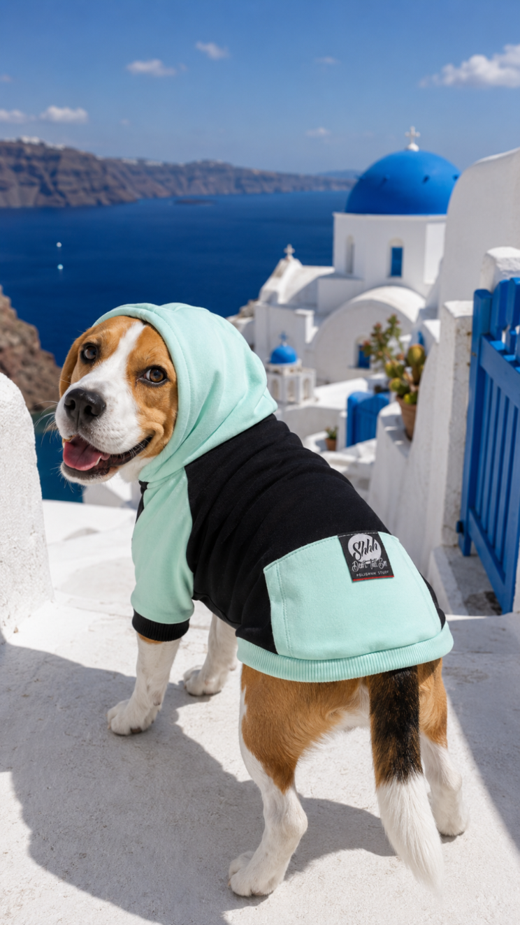 DOGWEAR 2 Black/Pistachio Shhh - bluza z kapturem dla Psa