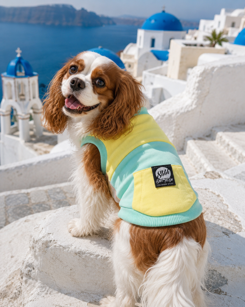 DOGWEAR 1 Yellow/Pistachio Shhh - dres dla Psa