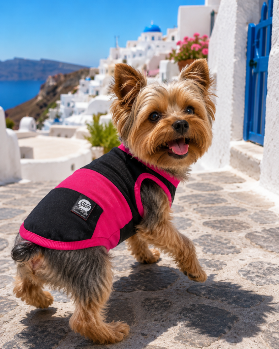 DOGWEAR 1 Black/Fuchsia - Shhh - dres dla Psa