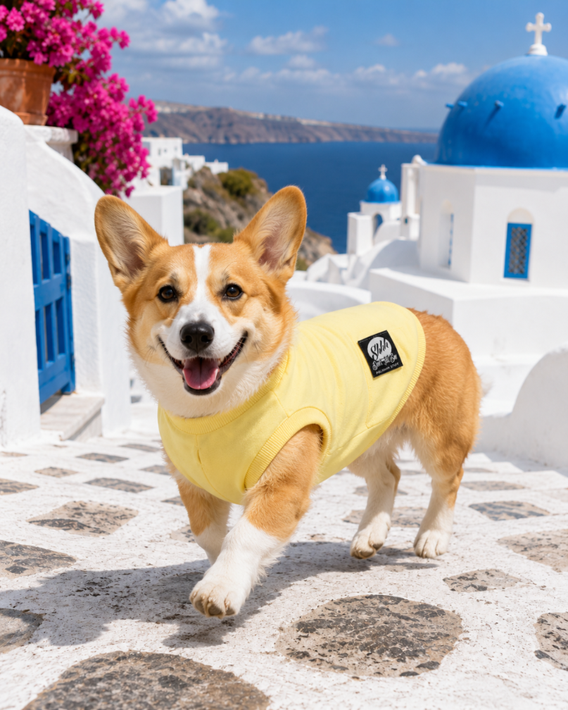 DOGWEAR 1 Yellow Shhh - dres dla Psa