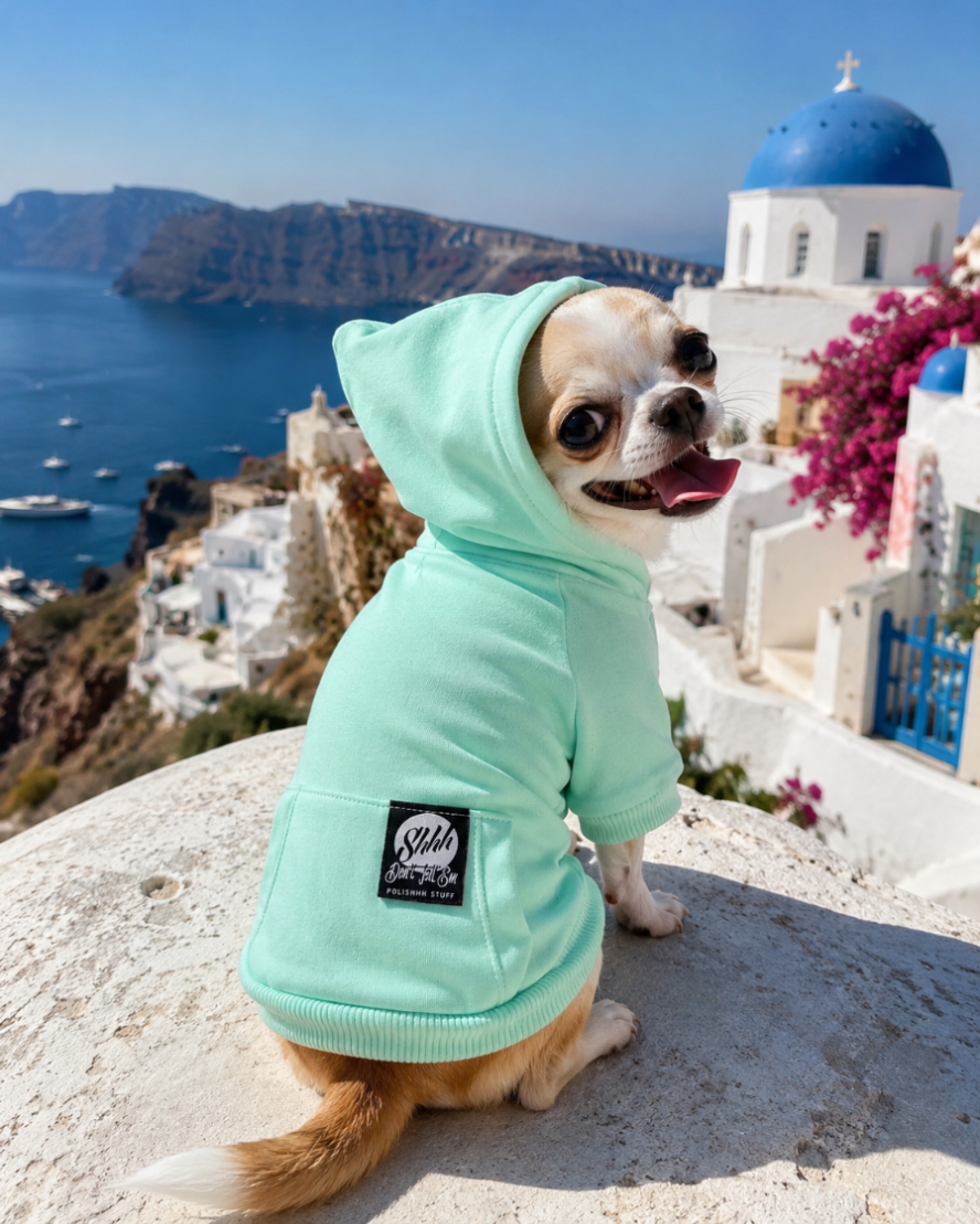 DOGWEAR HOODIE 2 Pistachio Shhh - bluza z kapturem dla Psa
