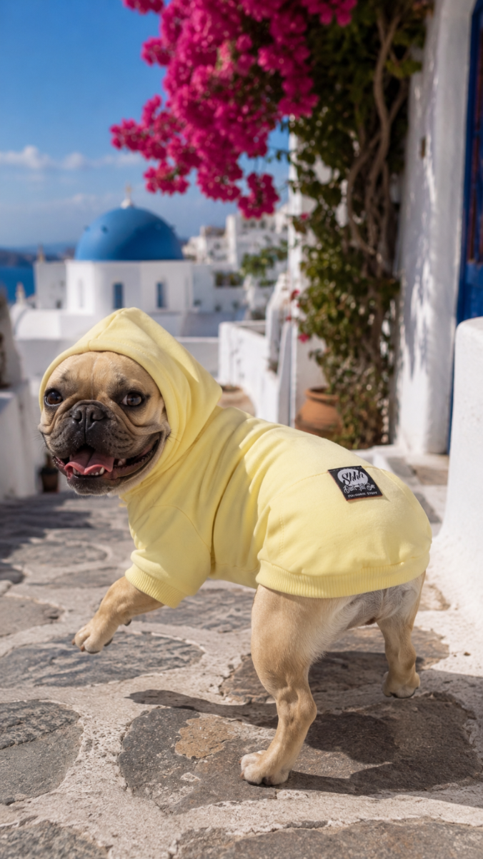 DOGWEAR HOODIE 2 Yellow - bluza z kapturem dla Psa