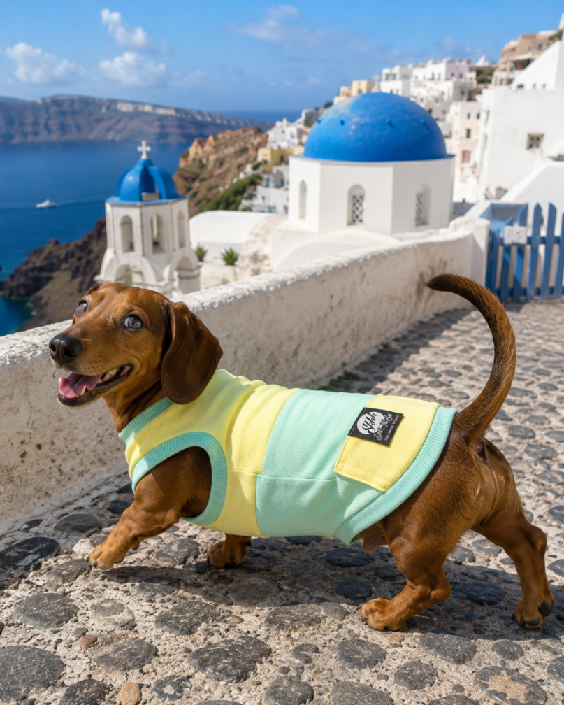 DOGWEAR 1 Yellow/Pistachio Shhh - dres dla Psa