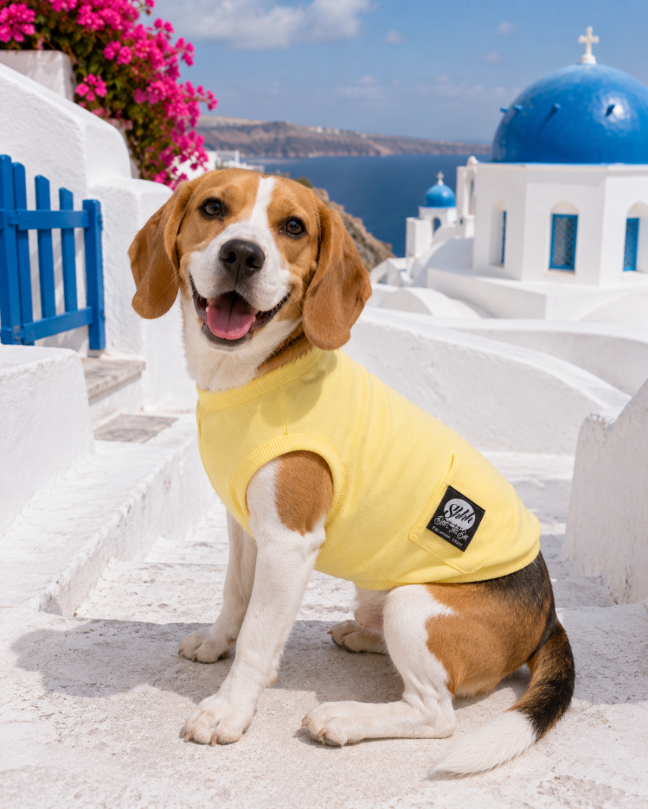 DOGWEAR 1 Yellow Shhh - dres dla Psa