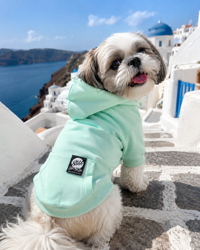 DOGWEAR HOODIE 2 Pistachio Shhh - bluza z kapturem dla Psa