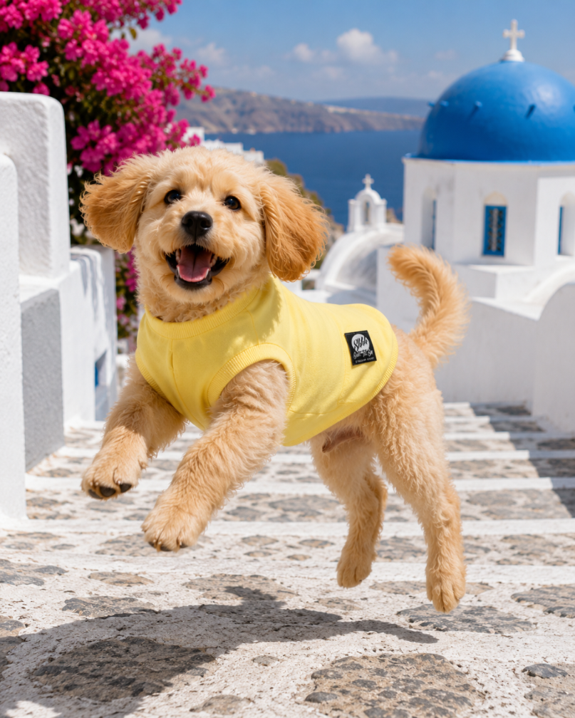 DOGWEAR 1 Yellow Shhh - dres dla Psa