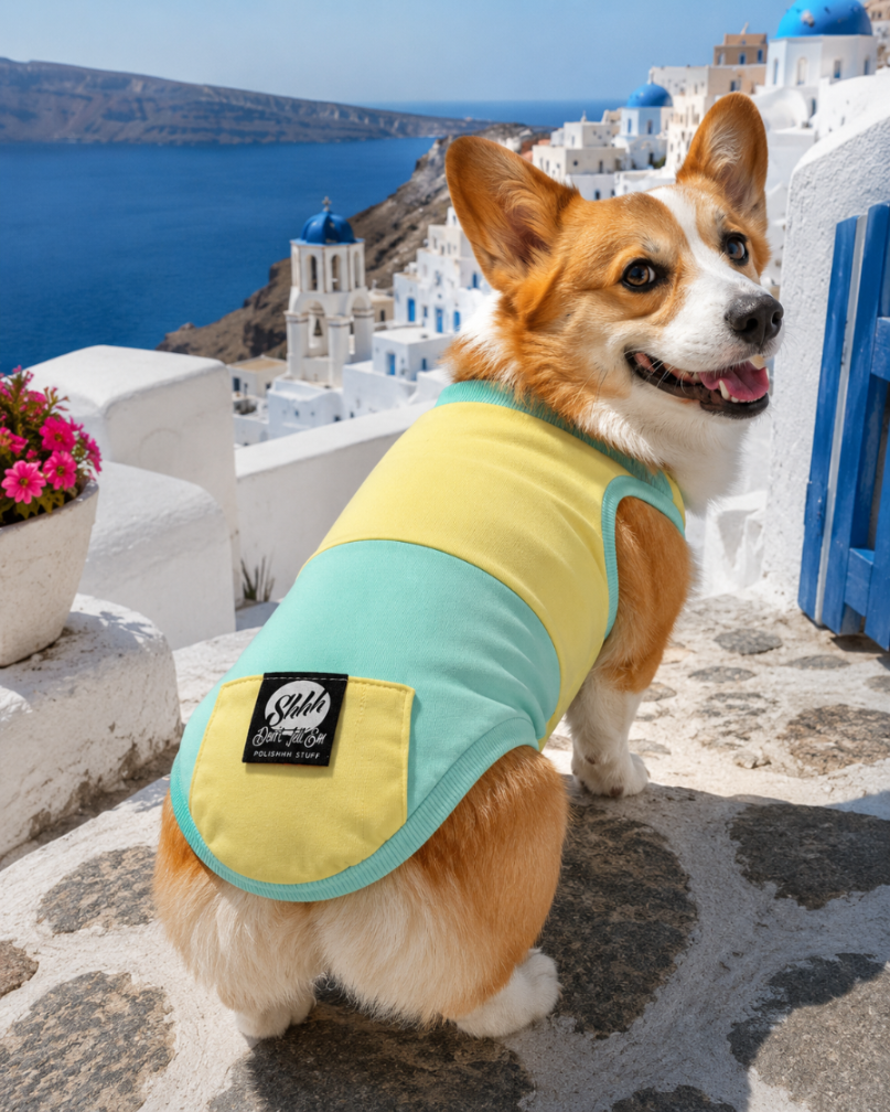DOGWEAR 1 Yellow/Pistachio Shhh - dres dla Psa