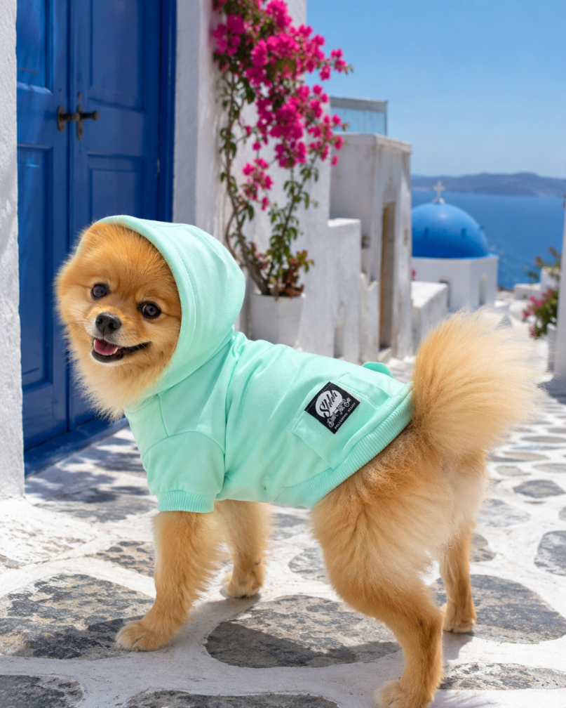 DOGWEAR HOODIE 2 Pistachio Shhh - bluza z kapturem dla Psa