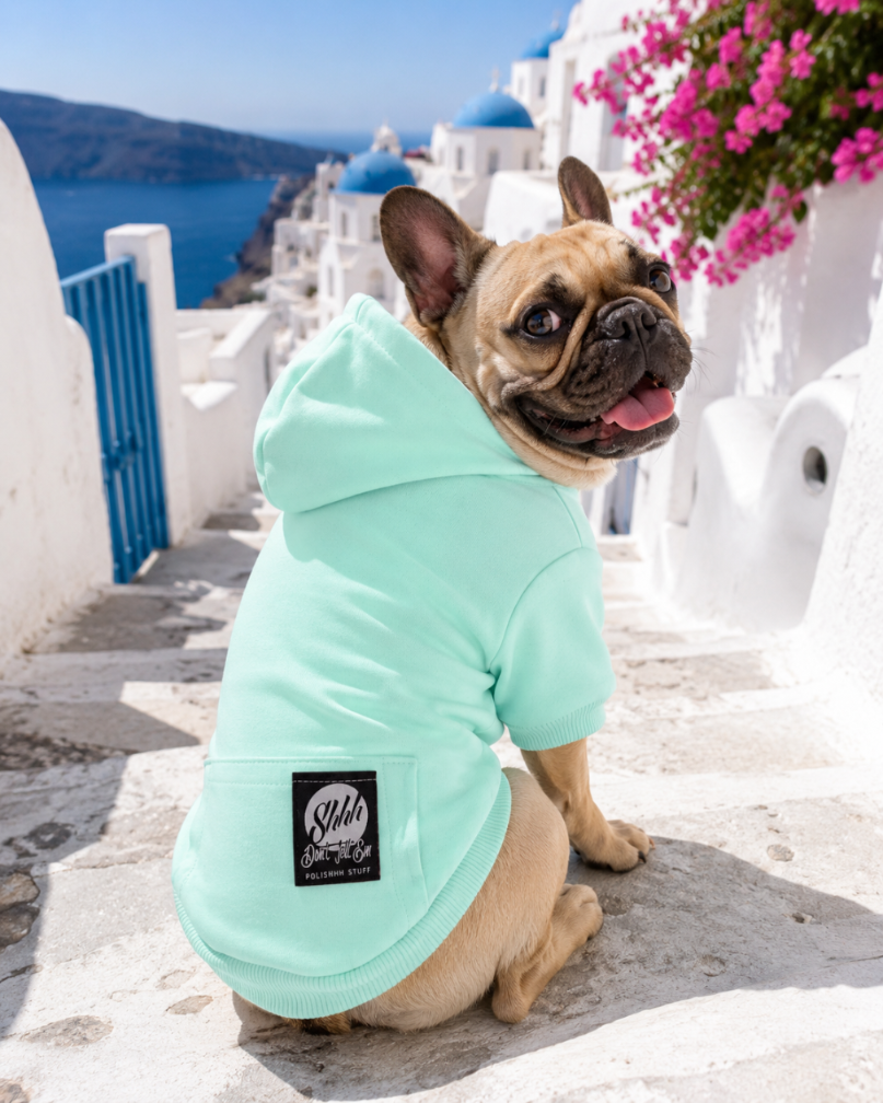 DOGWEAR HOODIE 2 Pistachio Shhh - bluza z kapturem dla Psa