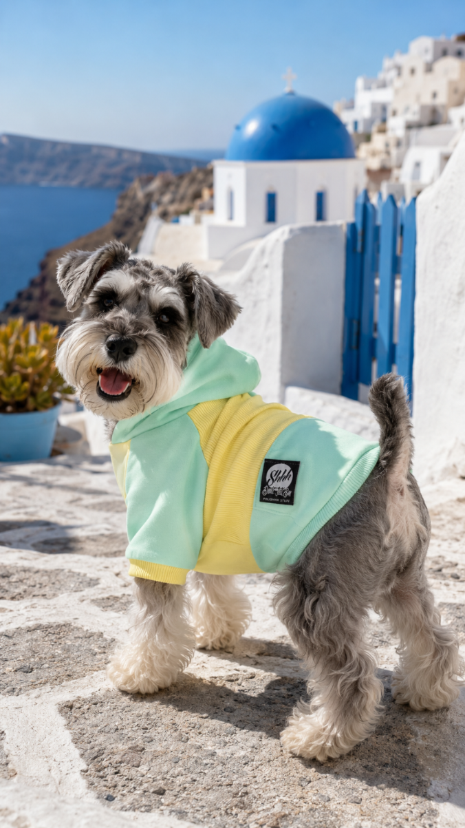 DOGWEAR HOODIE 2 Yellow/Pistachio Shhh - bluza z kapturem dla Psa