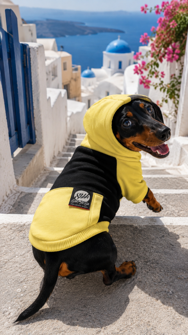 DOGWEAR HOODIE 2 Black/Yellow Shhh - bluza z kapturem dla Psa