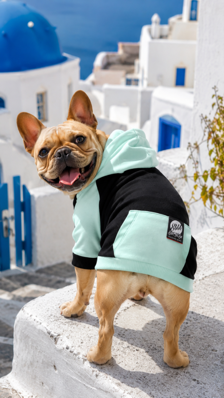 DOGWEAR 2 Black/Pistachio Shhh - bluza z kapturem dla Psa