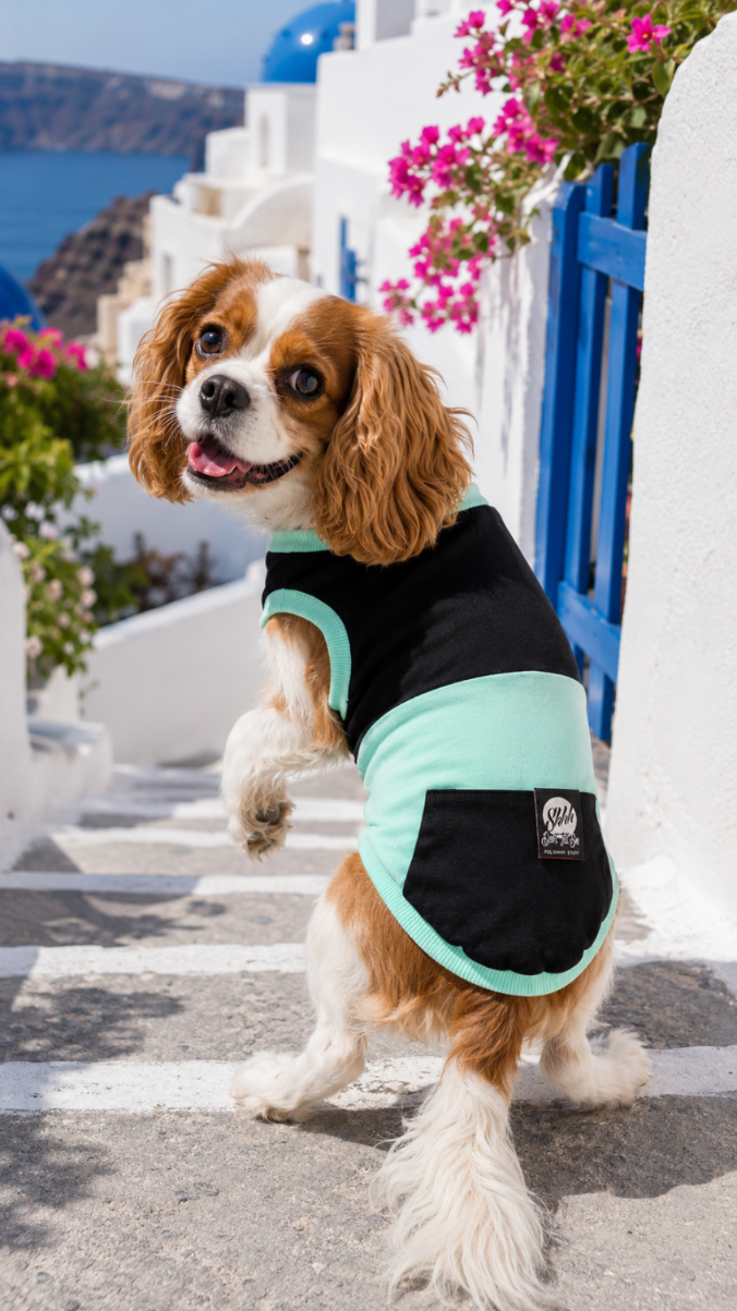 DOGWEAR 1 Black/Pistachio Shhh - dres dla Psa