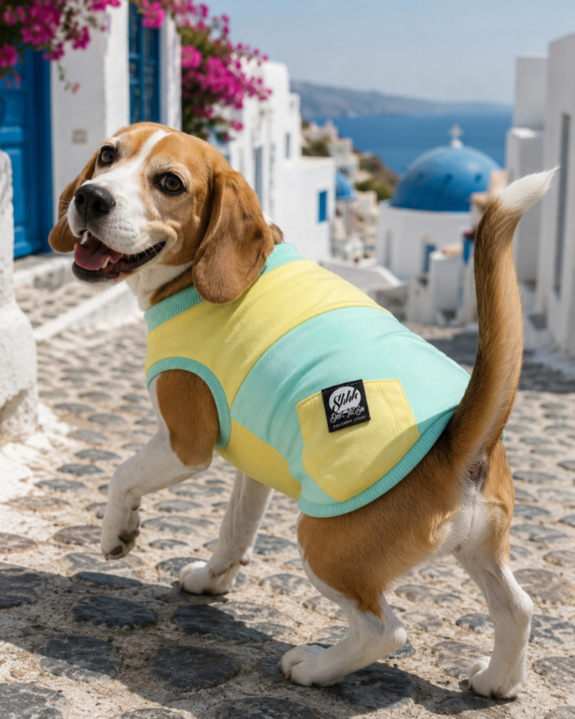 DOGWEAR 1 Yellow/Pistachio Shhh - dres dla Psa