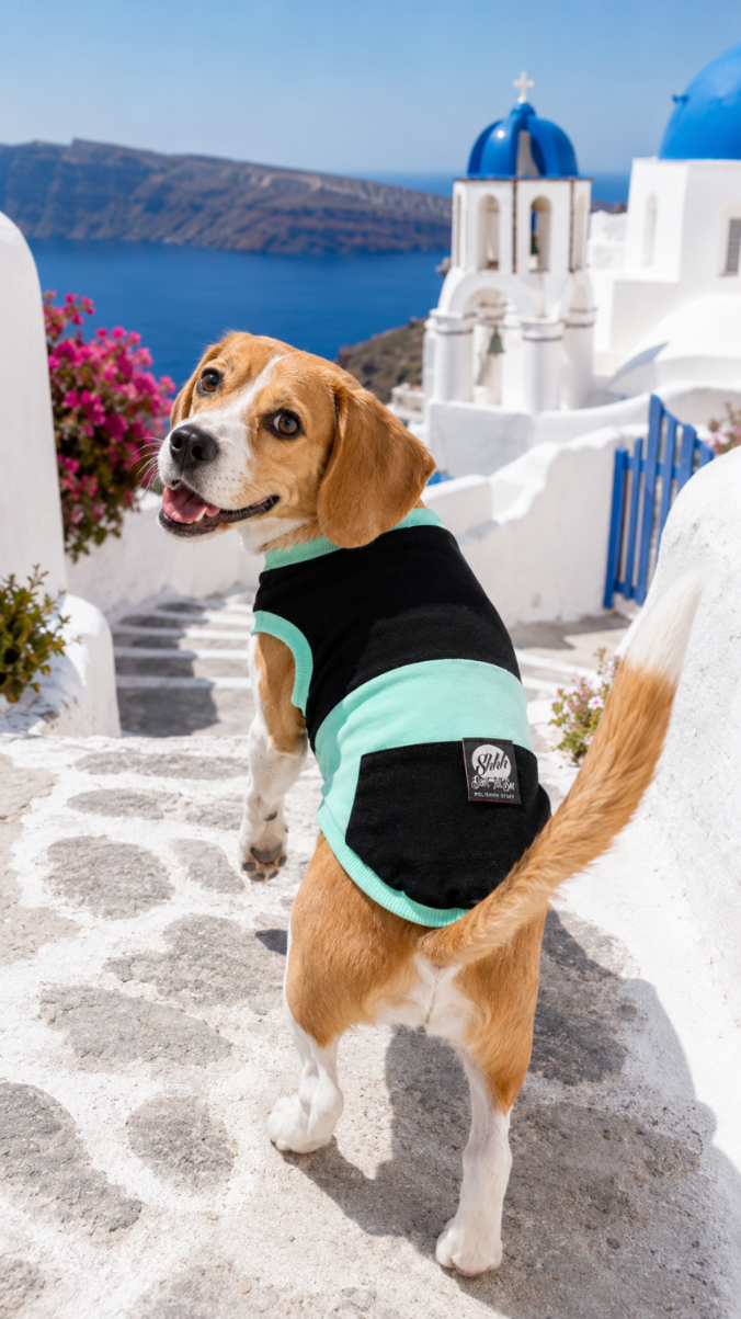 DOGWEAR 1 Black/Pistachio Shhh - dres dla Psa