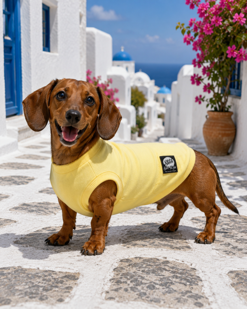 DOGWEAR 1 Yellow Shhh - dres dla Psa