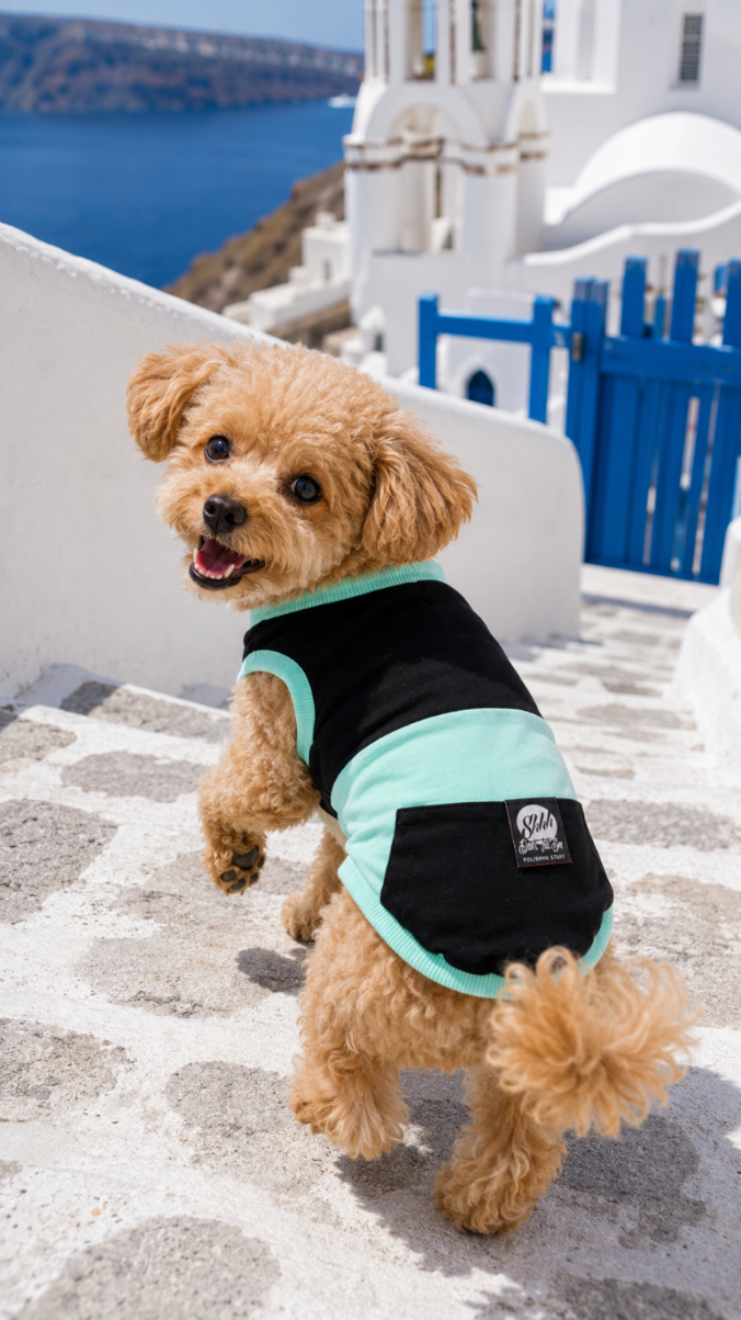 DOGWEAR 1 Black/Pistachio Shhh - dres dla Psa