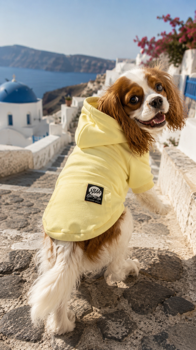 DOGWEAR HOODIE 2 Yellow - bluza z kapturem dla Psa