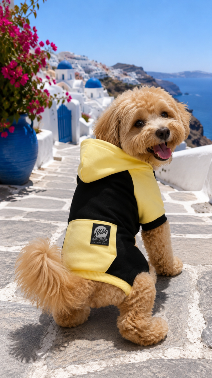 DOGWEAR HOODIE 2 Black/Yellow Shhh - bluza z kapturem dla Psa