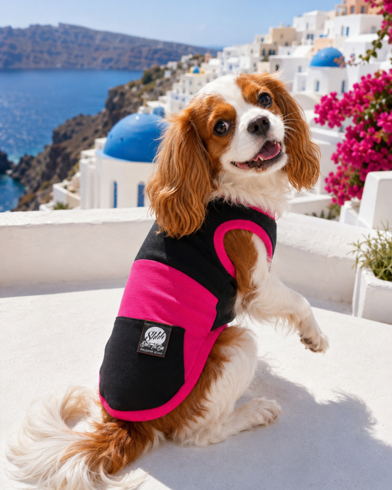 DOGWEAR 1 Black/Fuchsia  - Shhh - dres dla Psa