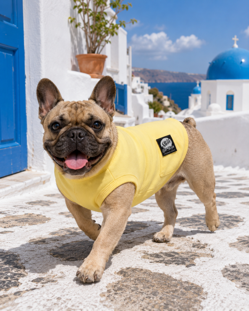 DOGWEAR 1 Yellow Shhh - dres dla Psa
