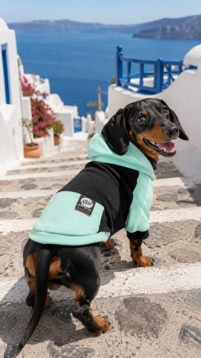 DOGWEAR 2 Black/Pistachio Shhh - bluza z kapturem dla Psa