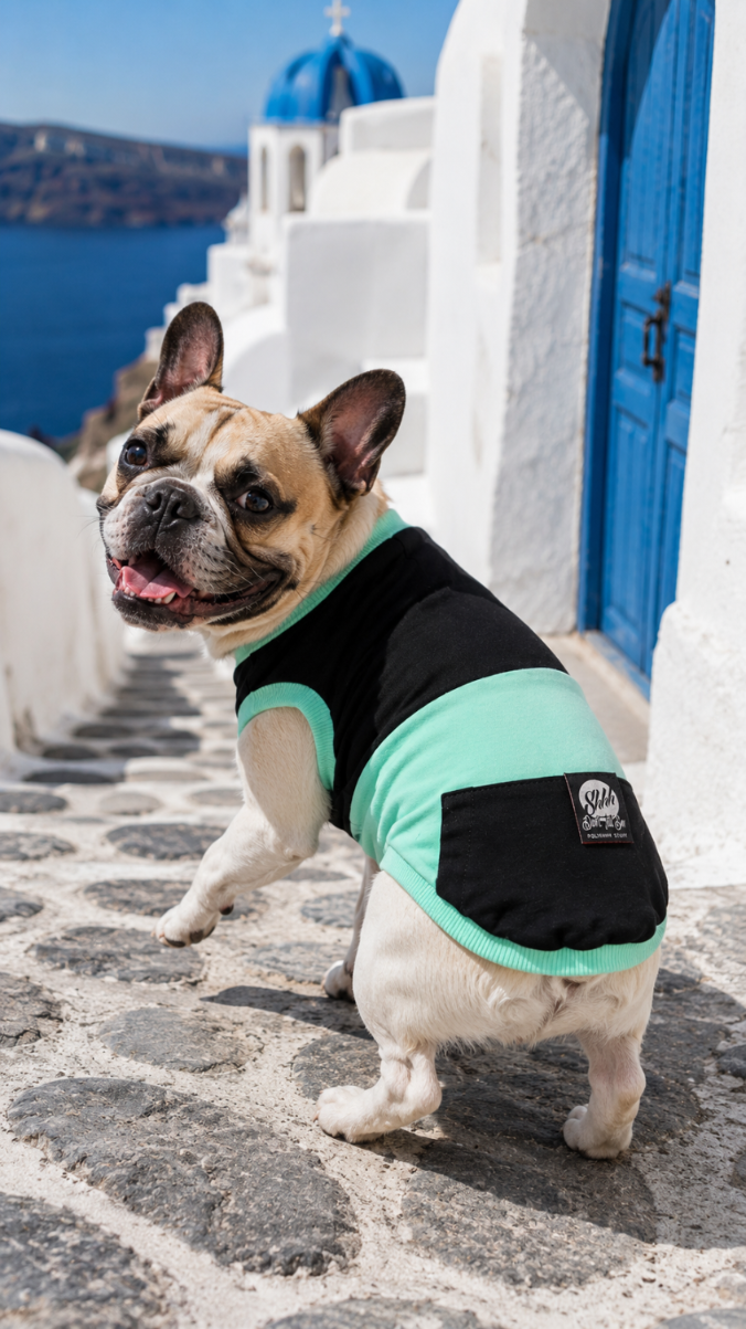 DOGWEAR 1 Black/Pistachio Shhh - dres dla Psa