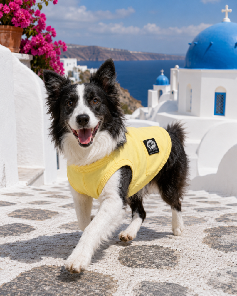 DOGWEAR 1 Yellow Shhh - dres dla Psa