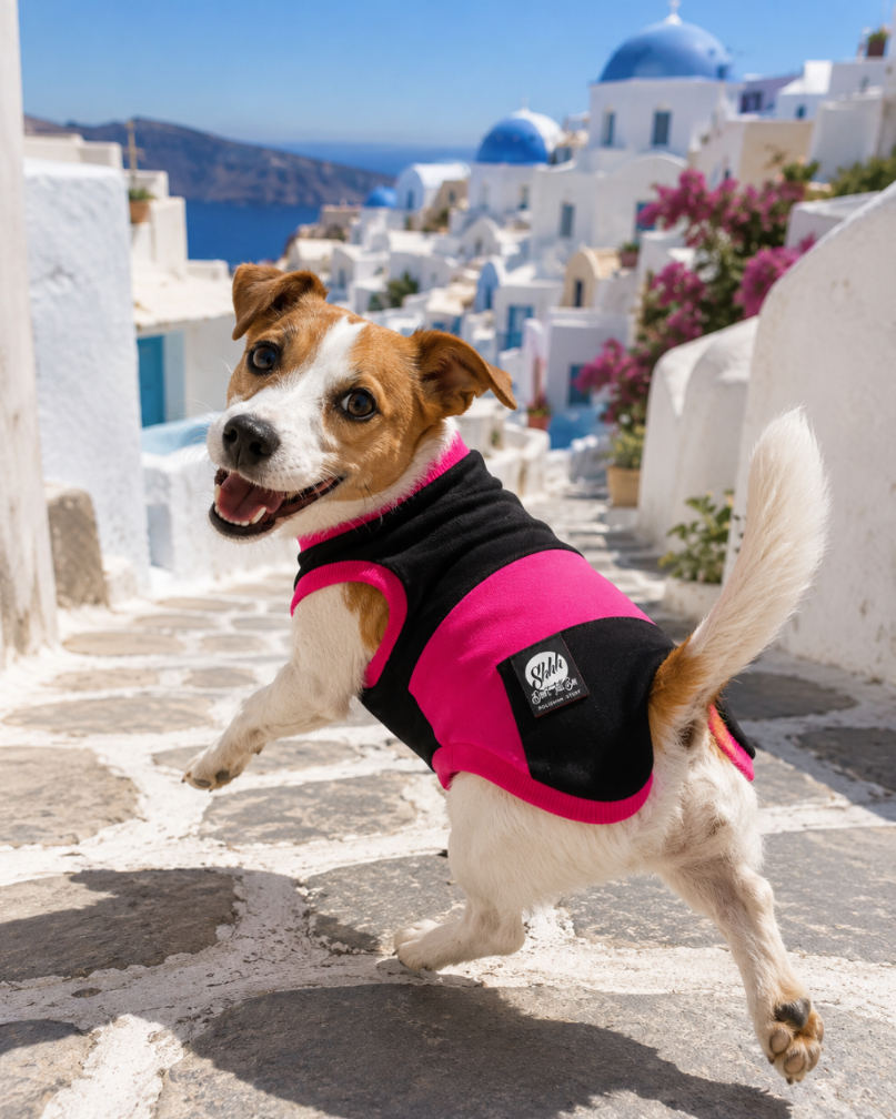 DOGWEAR 1 Black/Fuchsia  - Shhh - dres dla Psa