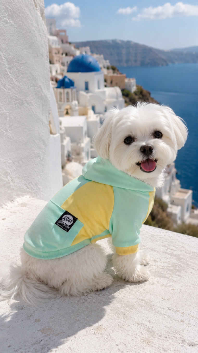 DOGWEAR HOODIE 2 Yellow/Pistachio Shhh - bluza z kapturem dla Psa