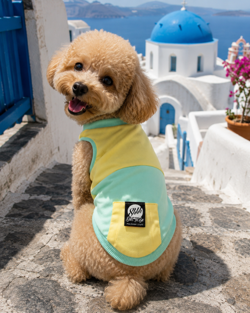 DOGWEAR 1 Yellow/Pistachio Shhh - dres dla Psa