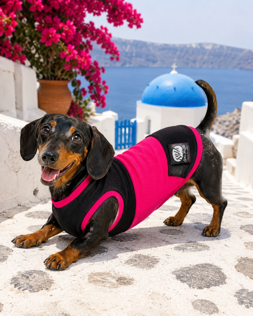 DOGWEAR 1 Black/Fuchsia  - Shhh - dres dla Psa