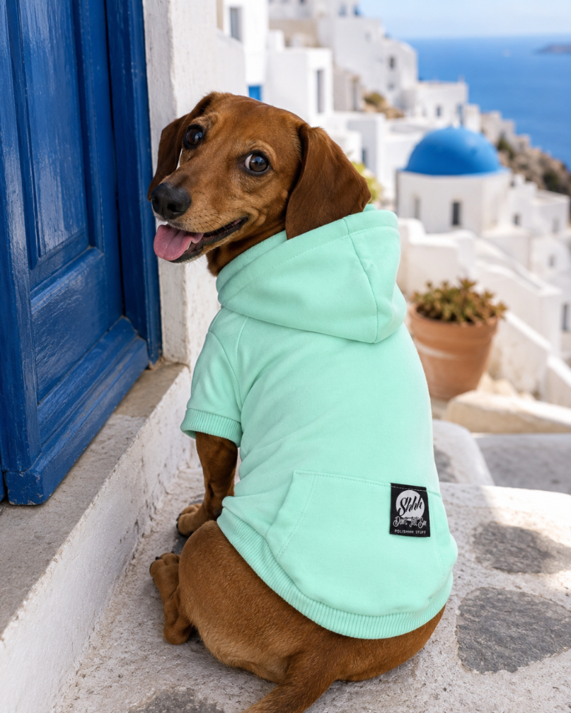 DOGWEAR HOODIE 2 Pistachio Shhh - bluza z kapturem dla Psa